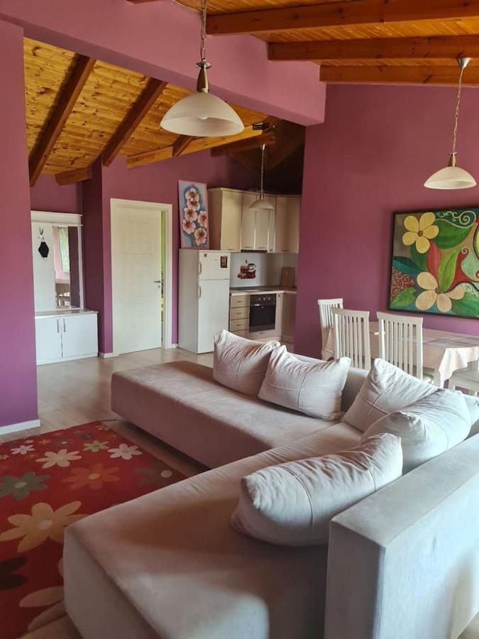 Penthahouse Shallvare Apartment *